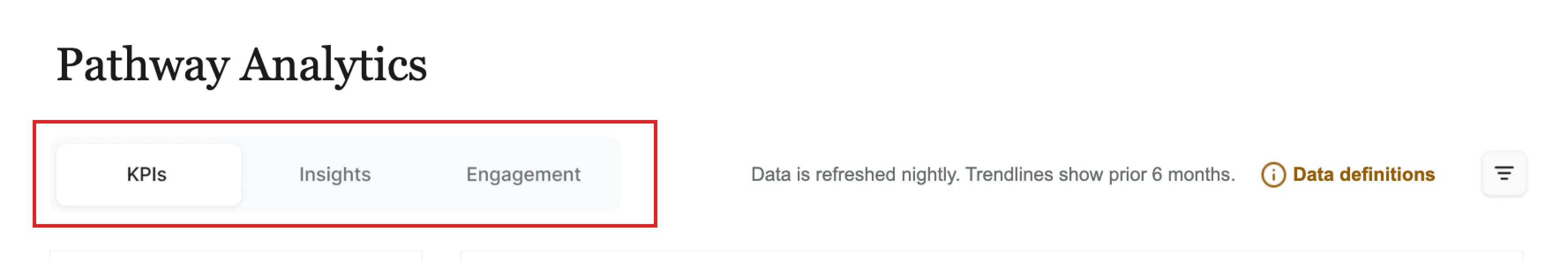 Analytics Tabs.png